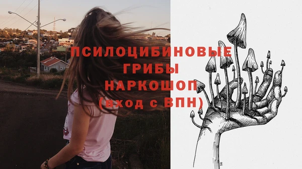 стафф Алексин