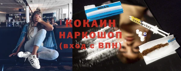 стафф Алексин